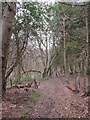 Footpath to Ashgrove Road