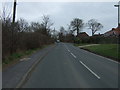 Warren Road (A1031), Saltfleet