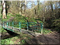 Footbridge, Walbottle Dene