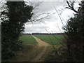 Well reinstated path to Wadworth Wood and Edlington