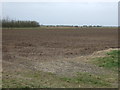 Farmland, Skidbrooke Ings