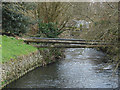 River Wey, Farnham