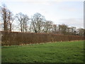 Beech hedge with stile