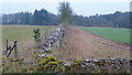 View to Notteridge Copse