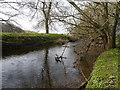 Eden Water Near Edenmouth Bridge