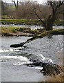 A Weir At 