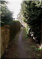 Footpath, East Ayton