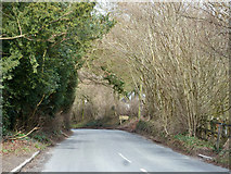 SP8204 : Road, Lower Cadsdean by Robin Webster