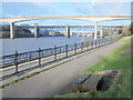 NZ2462 : Path by the River Tyne upstream of the New Redheugh Bridge by Mike Quinn
