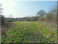 Path between Pear Tree Lane and the A49 at Euxton