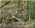 Footbridge over stream near Chapel Brook, Euxton