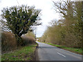 Aylesbury Road, Cuddington