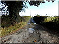 Puddly access road to the Drift House near Weston Rhyn