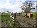 Sheep pen by Carter