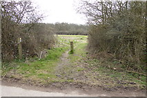 SU6856 : Footpath and bridleway junction by Wildmoor Lane by Shazz