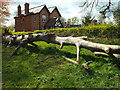 SP2872 : Felled and trimmed beech tree near the Lodge, west end of Abbey Fields by Robin Stott