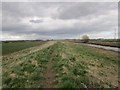 The River Hull east of Dunswell