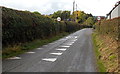 Crocodile teeth road markings on Vicarage Lane, Weston Rhyn