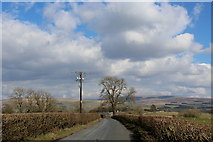 SD6077 : Road between Sellet Hall and Low Biggins by Chris Heaton