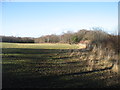 Farmland near Birks Hill