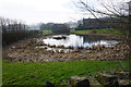 Pond at Lower Laithe Farm