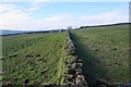 Field boundary near Newsholme