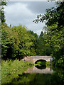 Canal near Wolverhampton Racecourse