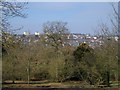 Halesowen Skyline