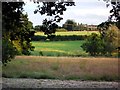 Fields leading to Asheldham Brook