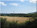 Farmland south of the A25 (Downpatrick Road)