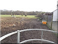 Footpath to Lonesome Lane by Woodhatch Road