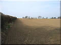 Farmland east of Mulbarton