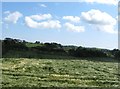 Cropland immediately east of the Ballykillbeg junction on the A25