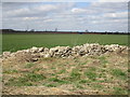 Drystone wall