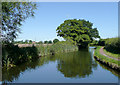 SO8694 : Staffordshire and Worcestershire Canal near The Bratch, Staffordshire by Roger  D Kidd