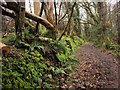 Path above Porlock