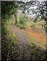 Footpath, Halse Combe