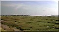 Saltmarsh between Battlesbridge and North Fambridge