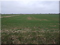 Farmland beside drain, Manby