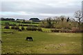 Rural Shropshire