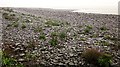 Beach, Porlock Weir