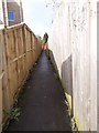 Footpath - Cawthorne Avenue