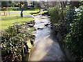 Stream - Norman Park - Norman Road