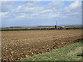 Looking towards Spridlington Manor Farm