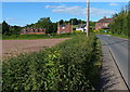 Houses along the A451 in Dunley