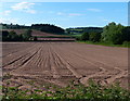 Farmland in the village of Dunley