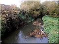 Upstream along the Cherwell, Banbury