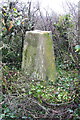 Ordnance Survey triangulation pillar at Beacon Knap