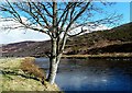 By The River Helmsdale