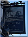 Durham Ox on Norwood, Beverley